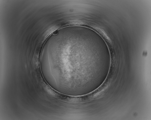 X0000102010889200807251306