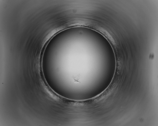 X0000102010890200807251306