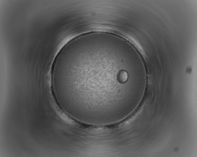 X0000102010891200807251306