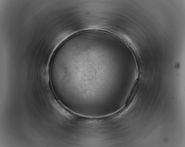 X0000102010892200807251306