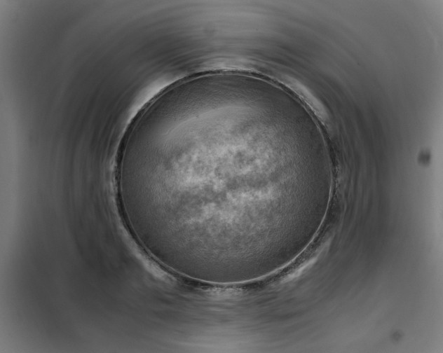 X0000102010893200807251306