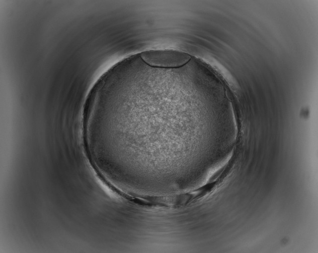 X0000102010894200807251306