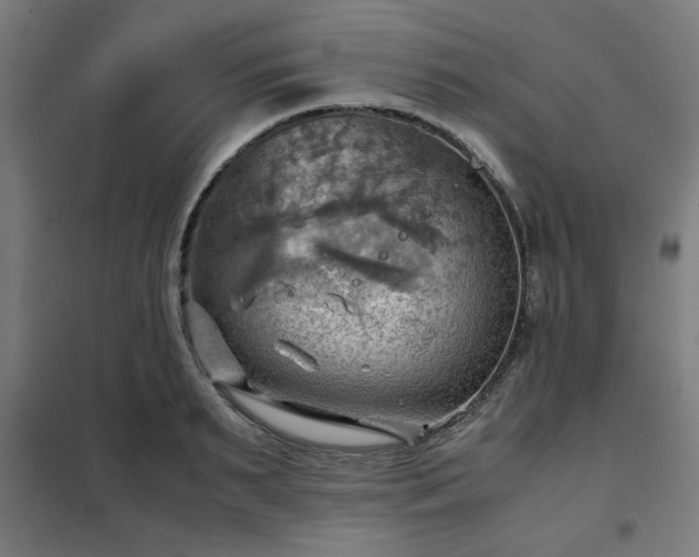 X0000102010895200807251306