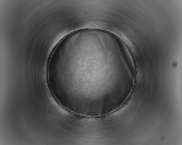 X0000102010896200807251306