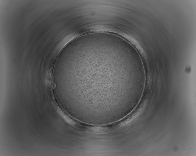 X0000102010897200807251306