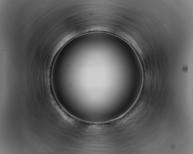 X0000102010898200807251306