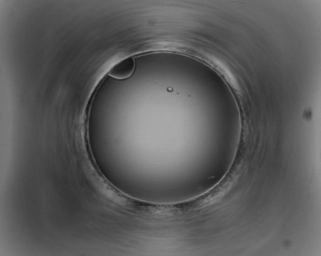 X0000102010899200807251306