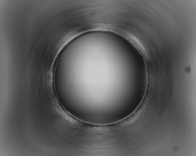 X0000102010900200807251306
