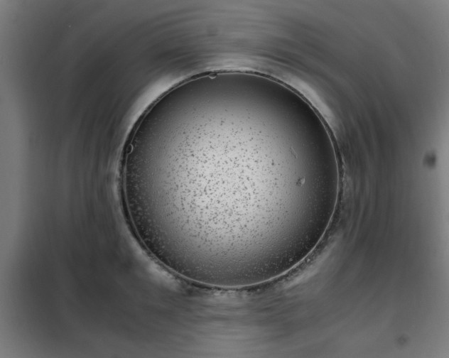 X0000102010901200807251306