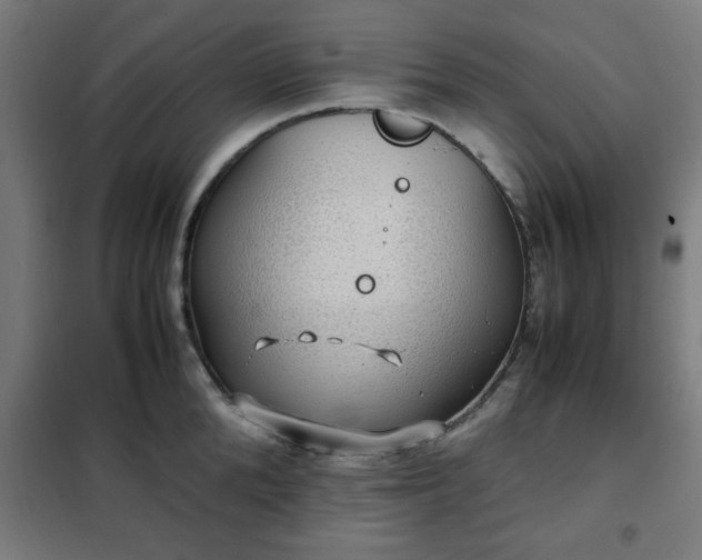 X0000102010904200807251306