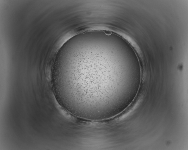 X0000102010905200807251306