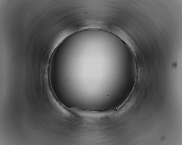 X0000102010906200807251306