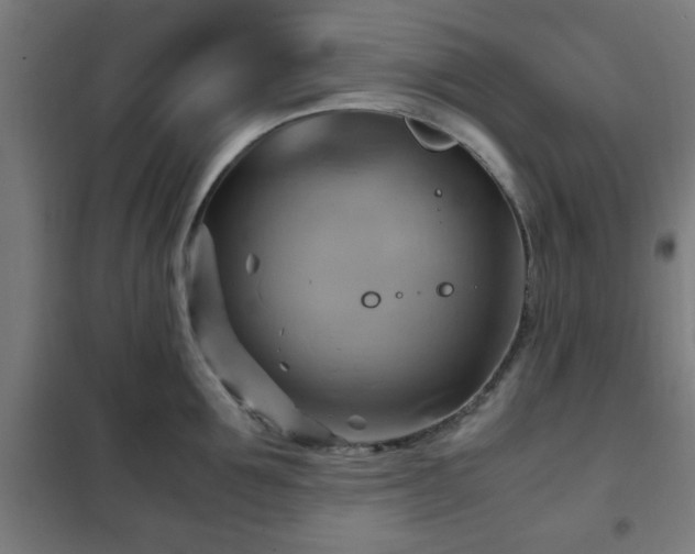 X0000102010907200807251306