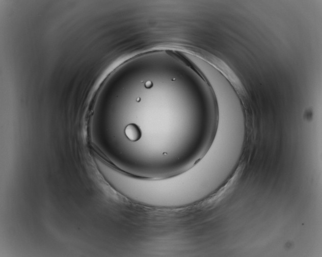 X0000102010908200807251306