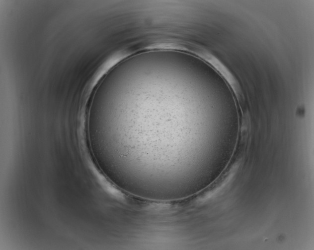 X0000102010909200807251306