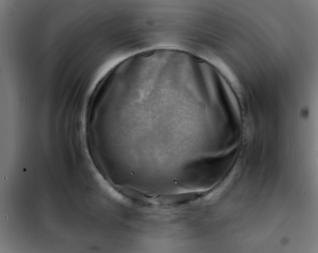 X0000102010910200807251306