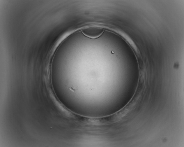X0000102010911200807251306