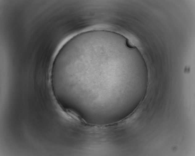 X0000102010912200807251306