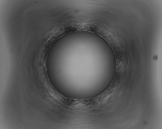 X0000102010913200807251305