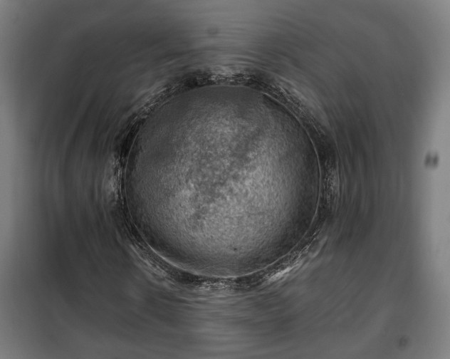 X0000102010914200807251305