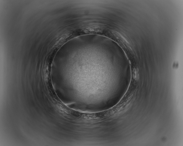 X0000102010915200807251305