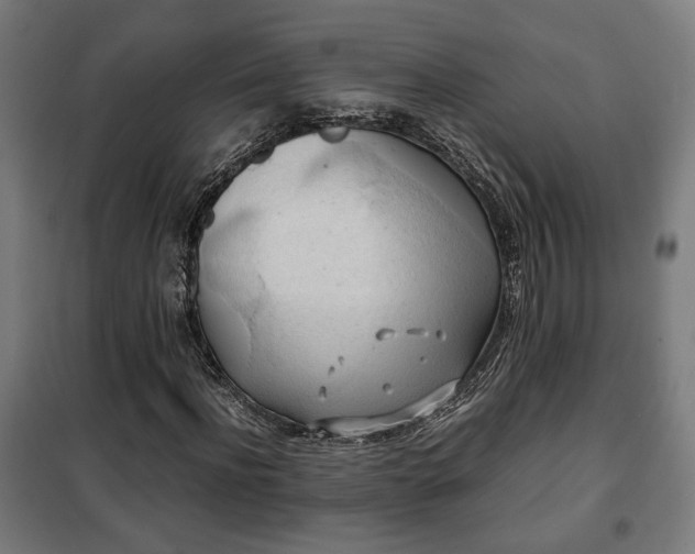 X0000102010916200807251305