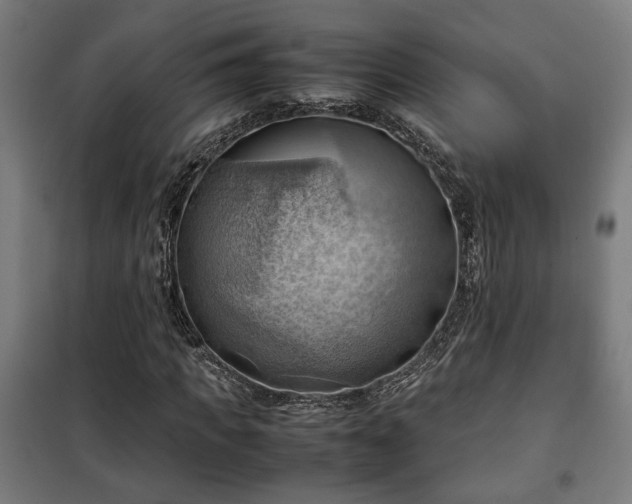 X0000102010917200807251305