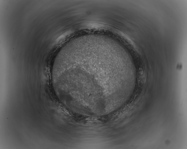X0000102010918200807251305