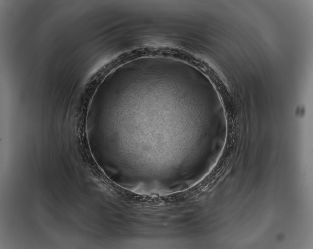 X0000102010919200807251305