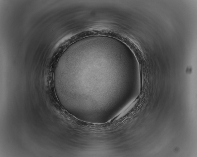 X0000102010920200807251305