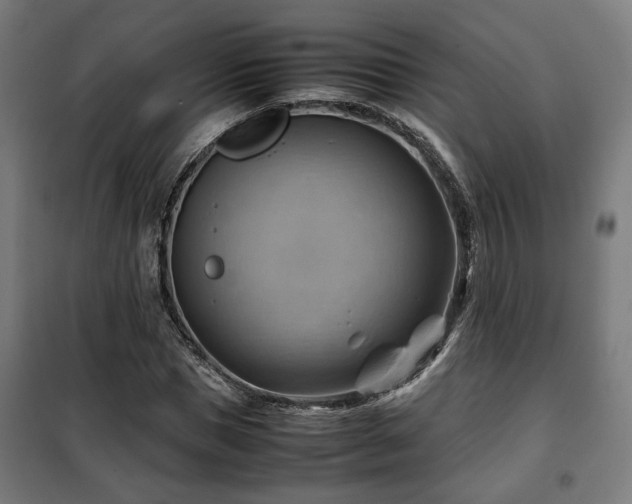 X0000102010921200807251305
