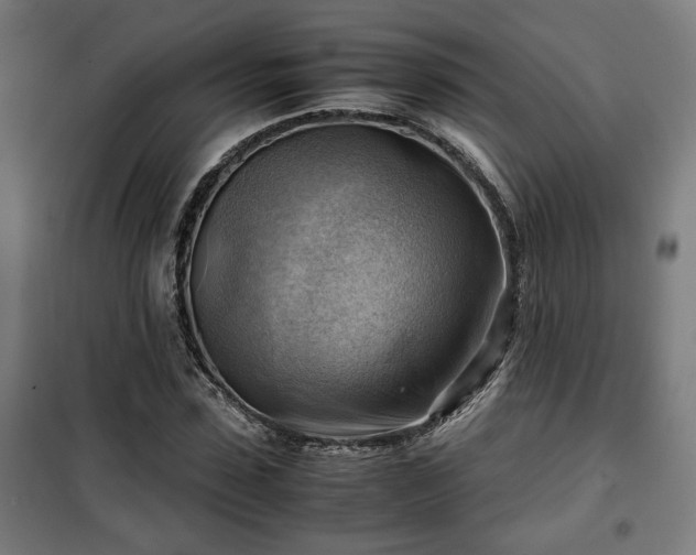 X0000102010923200807251305