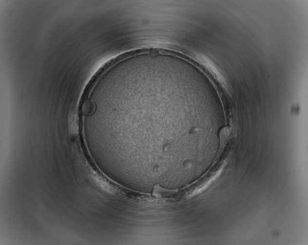 X0000102010924200807251305