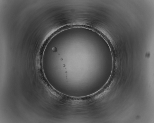 X0000102010925200807251305