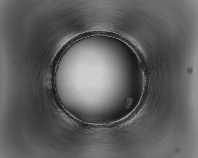 X0000102010926200807251305