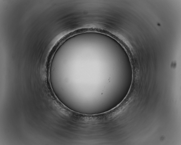 X0000102010927200807251305