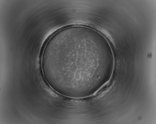 X0000102010928200807251305