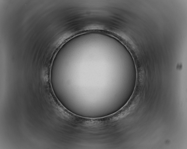 X0000102010929200807251305