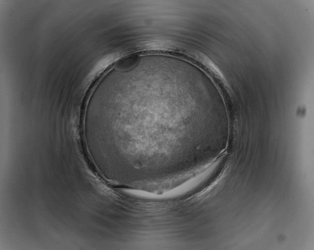 X0000102010930200807251305