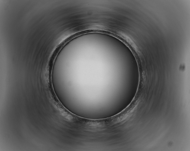 X0000102010931200807251305