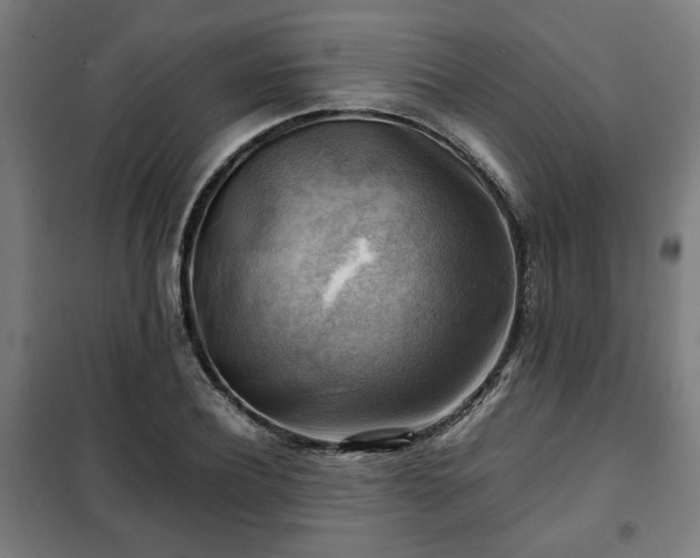 X0000102010932200807251305