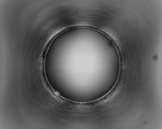 X0000102010933200807251305