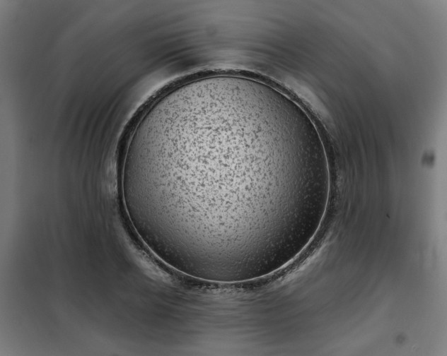 X0000102010934200807251305