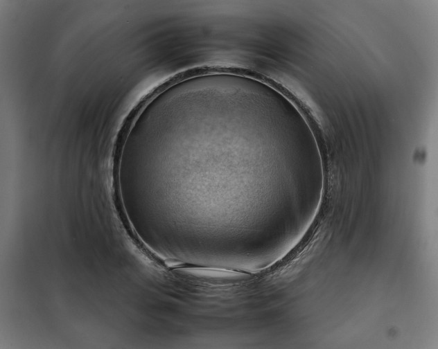 X0000102010935200807251305