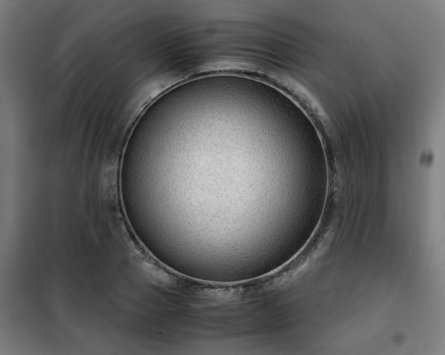 X0000102010937200807251305