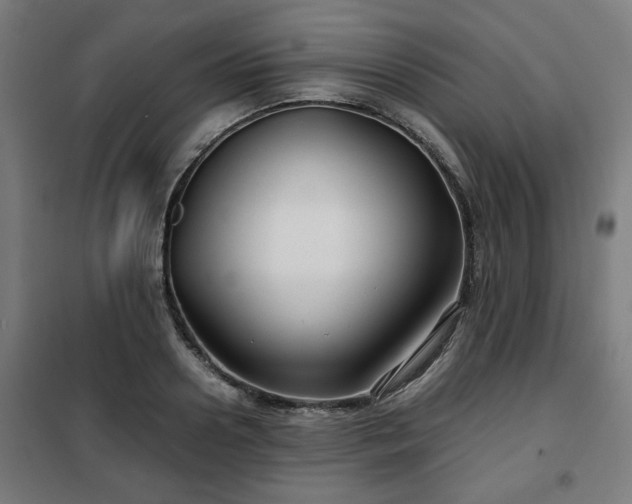 X0000102010938200807251305