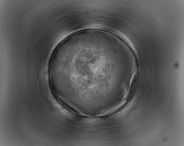 X0000102010939200807251305