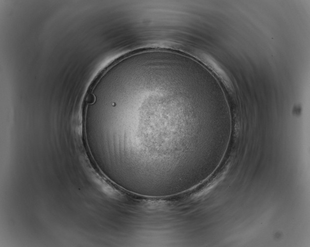X0000102010940200807251305
