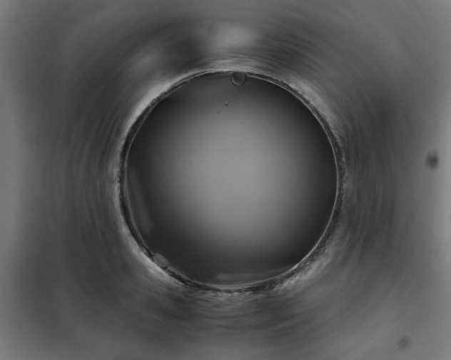 X0000102010941200807251305