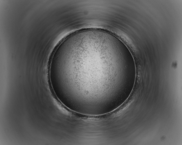 X0000102010942200807251305
